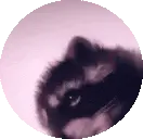 PedroTime emote