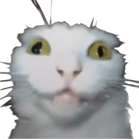 crazykitty emote