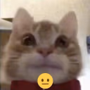 aha7 emote