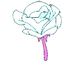 FlowerBluePink emote