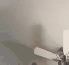 catPunchU emote