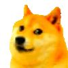 doge_partyVibrate emote