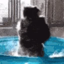 KEKW emote