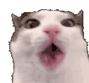 yum emote