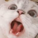 CE_SCREAMMMMMM4 emote