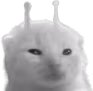 wlorp emote