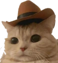 howdy emote