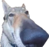 gotdamn emote