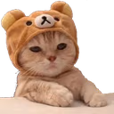 hm emote