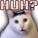 HuhCat emote