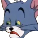 I_Fucked_Up_Tom emote