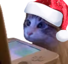 WatchingStream emote