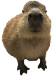 Gort emote