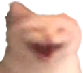 xD emote