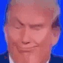 Trumpge emote
