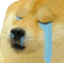 dogecry emote