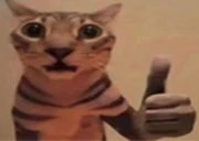 CatYep emote