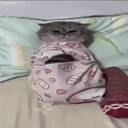 dih animated emote