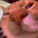 ongang emote