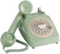 sage_phone emote