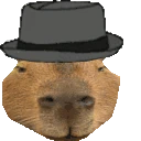 capyMLADY emoji