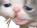 Ugly_Cat emoji