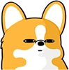 Corgi_Wtf_1 emote