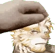 astosis_pet emote