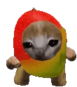 Dwerk emote