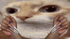uuhperiodt emote