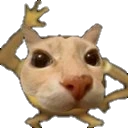 dosepot emote