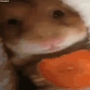 jret emote