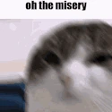 everysinglepersonismyenemy emote