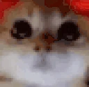 RAGEY emote