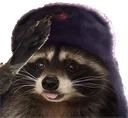 KKomrade emote