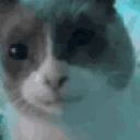 GULP emote