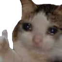 sad_cat_thumbsup emote