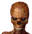 whatdidyousay emote
