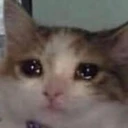 CE_Why emote