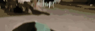 DAFY emote