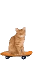 KICKFLIP emote
