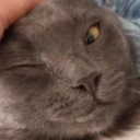 CE_Wink emote