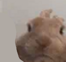 NotVibe static emote