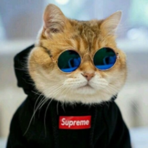 slaiqe avatar