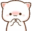 catShy emote