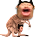 POGGAROO emote