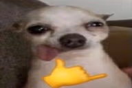 abayunda emote