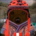 PErroga emote