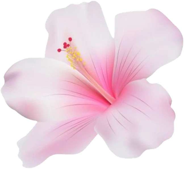 hibiscus emote