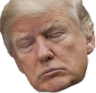 Trump_Sleeping emote